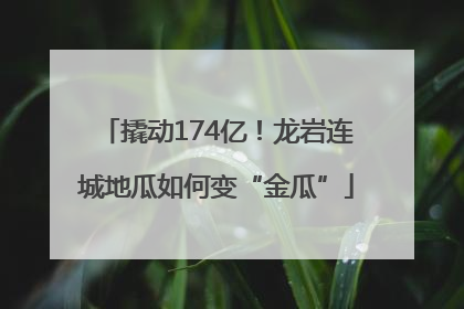 撬动174亿！龙岩连城地瓜如何变“金瓜”
