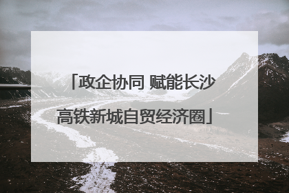 政企协同 赋能长沙高铁新城自贸经济圈