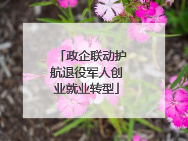政企联动护航退役军人创业就业转型