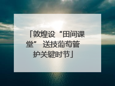 敦煌设“田间课堂” 送技葡萄管护关键时节