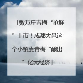 数万斤青梅“抢鲜”上市！成都大邑这个小镇靠青梅“酿出”亿元经济