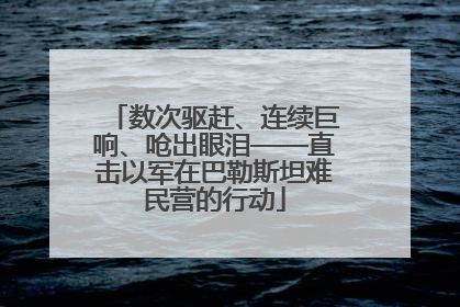 数次驱赶、连续巨响、呛出眼泪——直击以军在巴勒斯坦难民营的行动