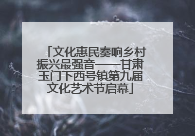 文化惠民奏响乡村振兴最强音——甘肃玉门下西号镇第九届文化艺术节启幕