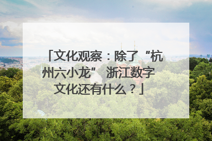 文化观察：除了“杭州六小龙” 浙江数字文化还有什么？