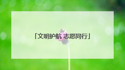文明护航 志愿同行