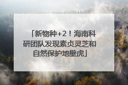 新物种+2！海南科研团队发现素贞灵芝和自然保护地壁虎