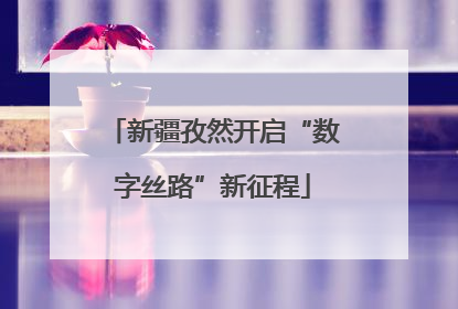 新疆孜然开启“数字丝路”新征程