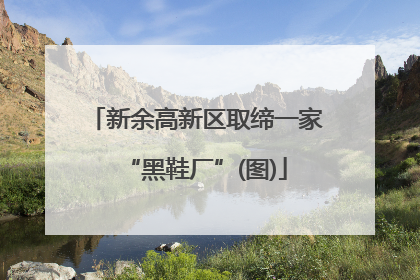 新余高新区取缔一家“黑鞋厂”(图)