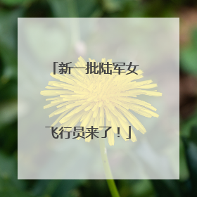 新一批陆军女飞行员来了！