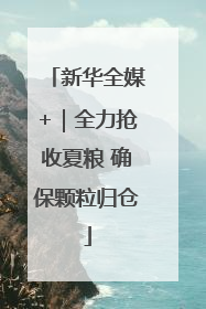 新华全媒+｜全力抢收夏粮 确保颗粒归仓