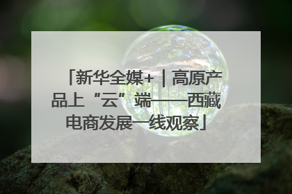新华全媒+｜高原产品上“云”端——西藏电商发展一线观察