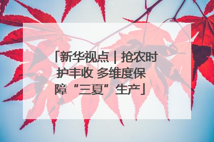 新华视点｜抢农时 护丰收 多维度保障“三夏”生产