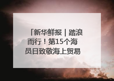 新华鲜报｜踏浪而行！第15个海员日致敬海上贸易“守护人”