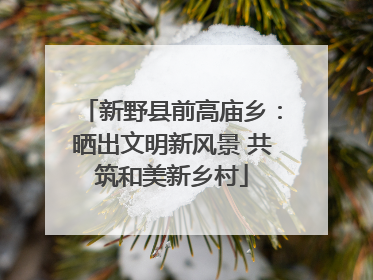 新野县前高庙乡：晒出文明新风景 共筑和美新乡村