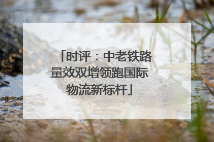 时评：中老铁路量效双增领跑国际物流新标杆