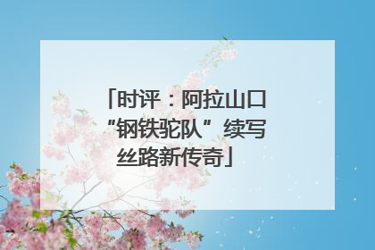 时评：阿拉山口“钢铁驼队”续写丝路新传奇