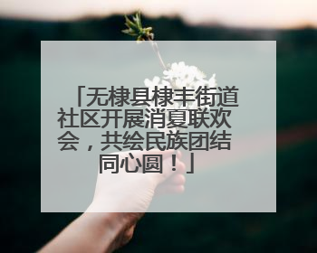 无棣县棣丰街道社区开展消夏联欢会，共绘民族团结同心圆！