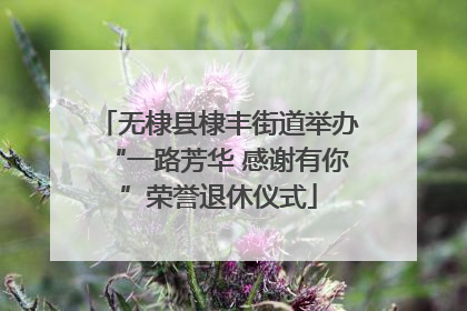 无棣县棣丰街道举办“一路芳华 感谢有你”荣誉退休仪式