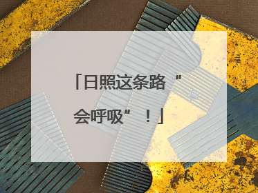 日照这条路“会呼吸”！