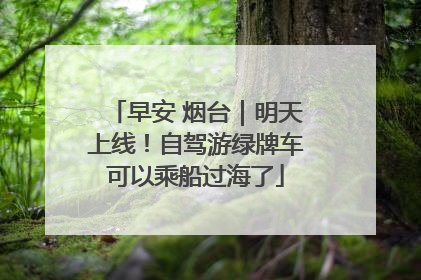 早安 烟台｜明天上线！自驾游绿牌车可以乘船过海了