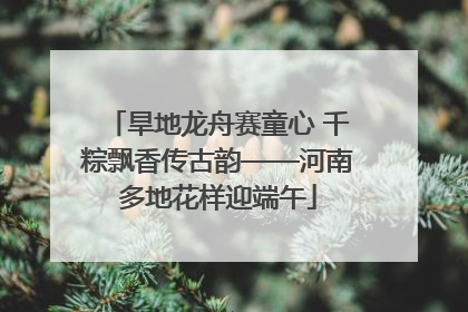 旱地龙舟赛童心 千粽飘香传古韵——河南多地花样迎端午
