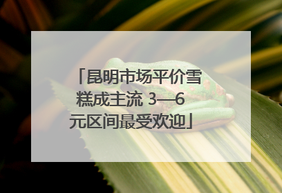 昆明市场平价雪糕成主流 3—6元区间最受欢迎