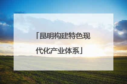 昆明构建特色现代化产业体系