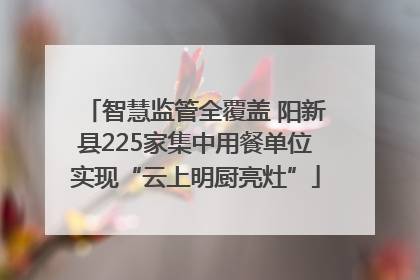 智慧监管全覆盖 阳新县225家集中用餐单位实现“云上明厨亮灶”
