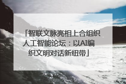 智联文脉亮相上合组织人工智能论坛：以AI编织文明对话新纽带