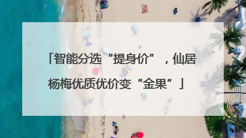 智能分选“提身价”，仙居杨梅优质优价变“金果”