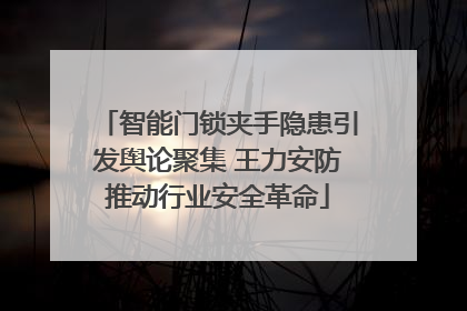 智能门锁夹手隐患引发舆论聚集 王力安防推动行业安全革命