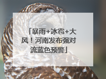 暴雨+冰雹+大风！河南发布强对流蓝色预警