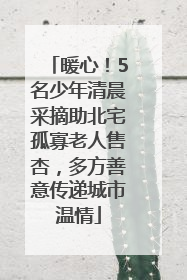暖心！5名少年清晨采摘助北宅孤寡老人售杏，多方善意传递城市温情