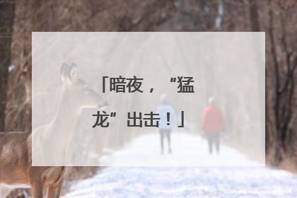 暗夜，“猛龙”出击！