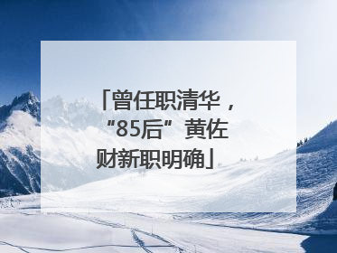 曾任职清华，“85后”黄佐财新职明确