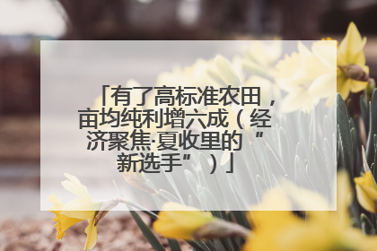 有了高标准农田，亩均纯利增六成（经济聚焦·夏收里的“新选手”）