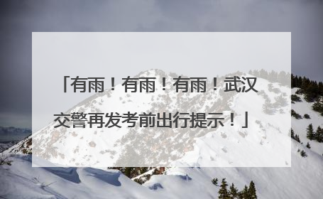 有雨！有雨！有雨！武汉交警再发考前出行提示！
