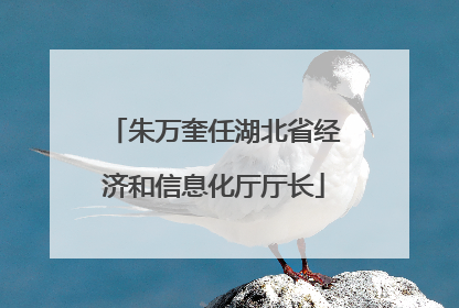朱万奎任湖北省经济和信息化厅厅长