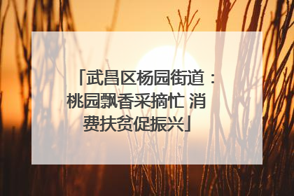 武昌区杨园街道：桃园飘香采摘忙 消费扶贫促振兴