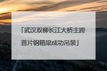 武汉双柳长江大桥主跨首片钢箱梁成功吊装