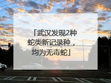 武汉发现2种蛇类新记录种，均为无毒蛇