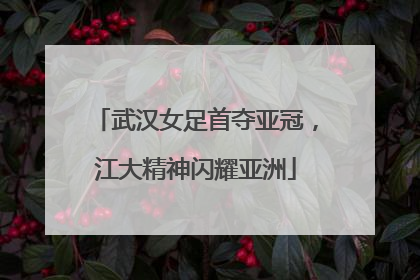 武汉女足首夺亚冠，江大精神闪耀亚洲