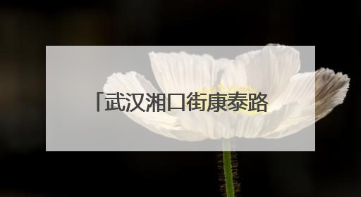 武汉湘口街康泰路社区文艺汇演传递幸福“夕阳红”