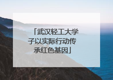 武汉轻工大学子以实际行动传承红色基因