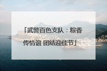 武警百色支队：粽香传情谊 团结迎佳节