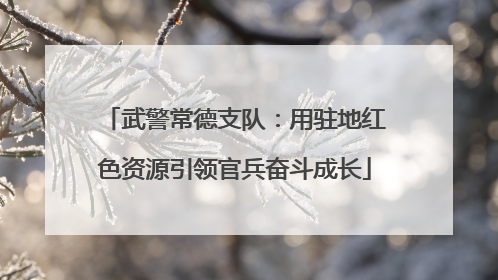 武警常德支队：用驻地红色资源引领官兵奋斗成长