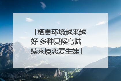 栖息环境越来越好 多种夏候鸟陆续来厦恋爱生娃