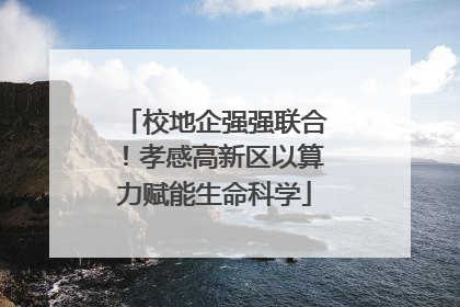校地企强强联合！孝感高新区以算力赋能生命科学