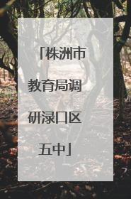 株洲市教育局调研渌口区五中