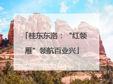桂东东洛：“红领雁”领航百业兴